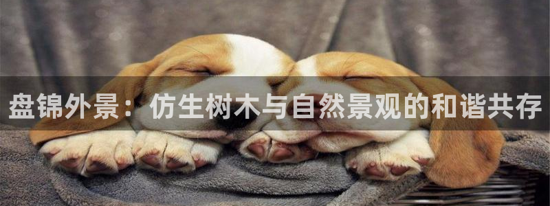 天顺娱乐与67五壹叁八