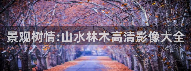 天顺娱乐箍3300