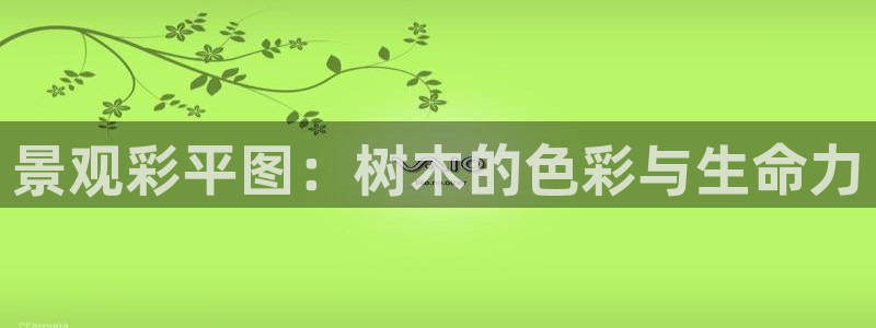 天顺娱乐焕943994