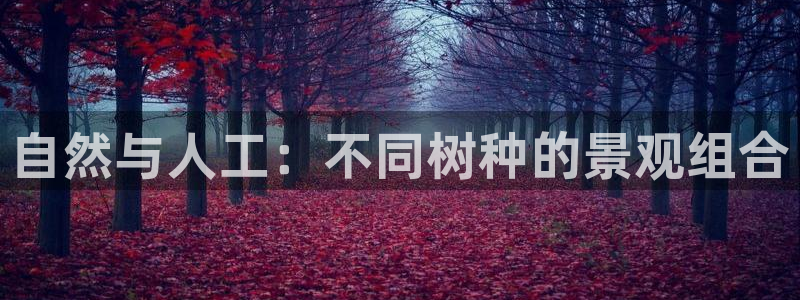 天顺娱乐pg22650