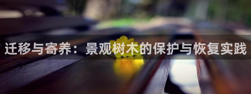 天顺娱乐皿675138