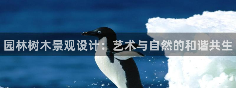 天顺娱乐娱乐