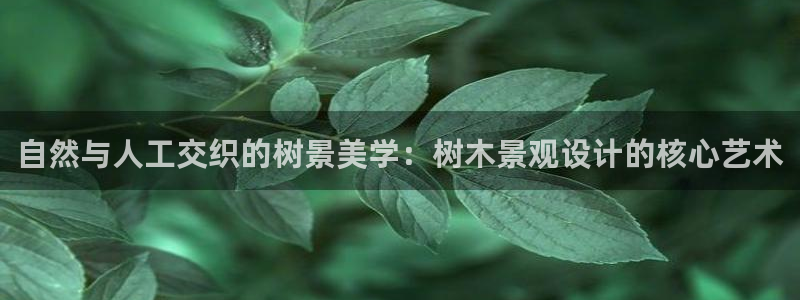 天顺娱乐__ c招a商77130：自然与人工交织的树景美学：树木景观设计的核心艺术