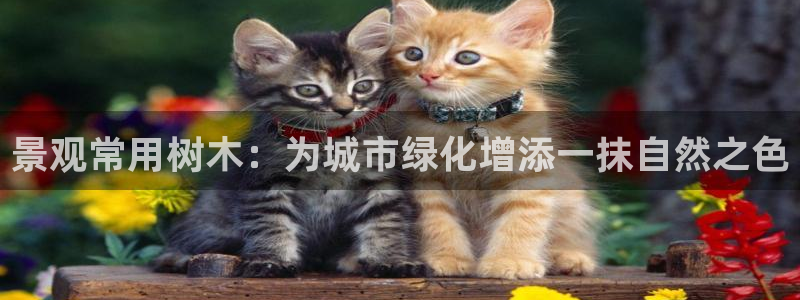天顺娱乐67 5138：景观常用树木：为城市绿化增添一抹自然之色