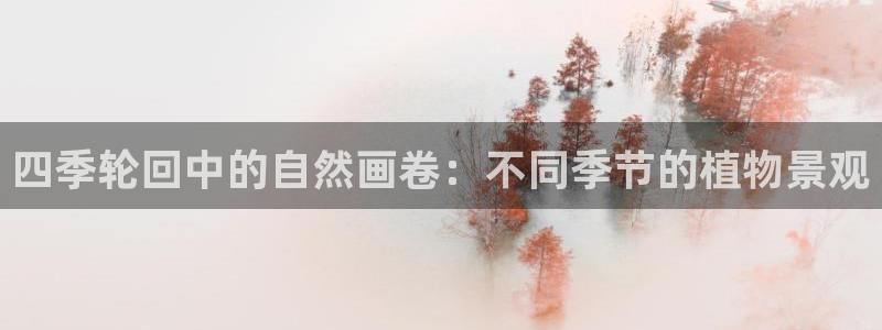 天顺娱乐的挂机包