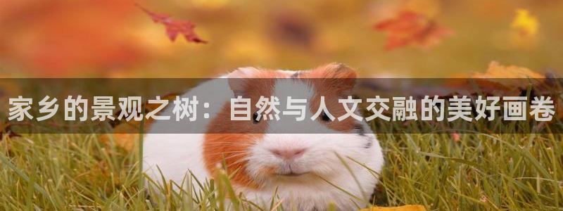 天顺娱乐焕78778卧：家乡的景观之树：自然与人文交融的美好画卷