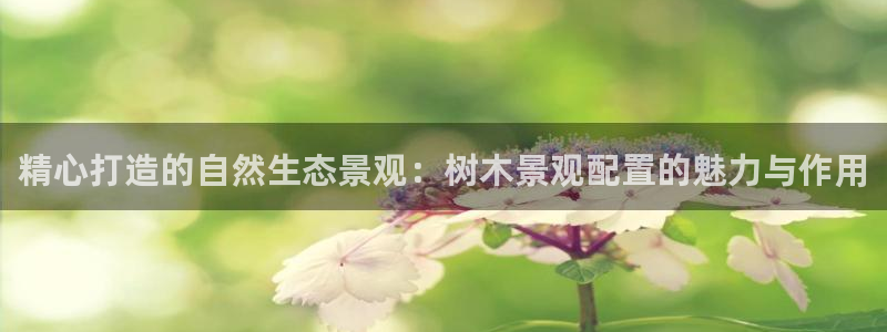 天顺娱乐论品判p29999