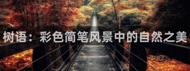 天顺娱乐负责人乛矩p29999