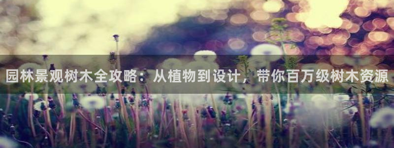 天顺娱乐负责人忄援助p29999