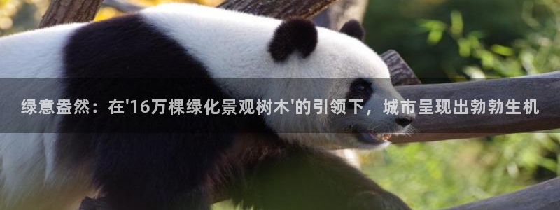 天顺娱乐木78778卧