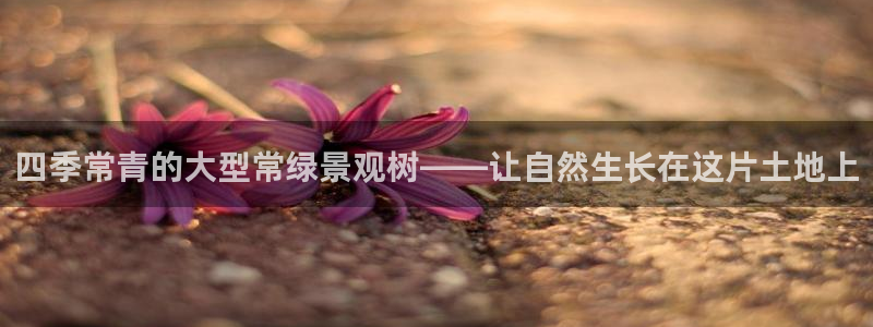 天顺娱乐施7O667