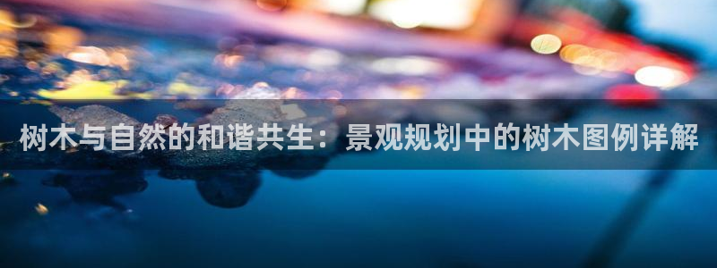 天顺娱乐糙943994