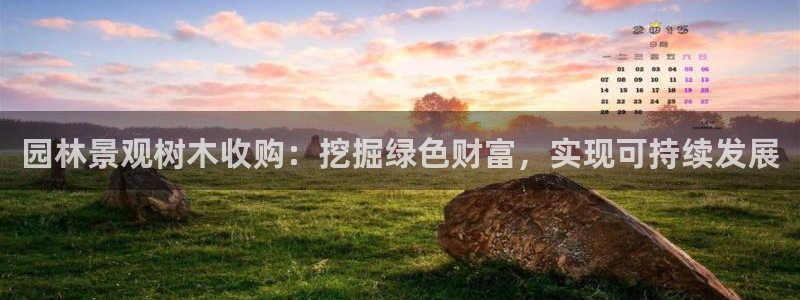 天顺娱乐开q96303