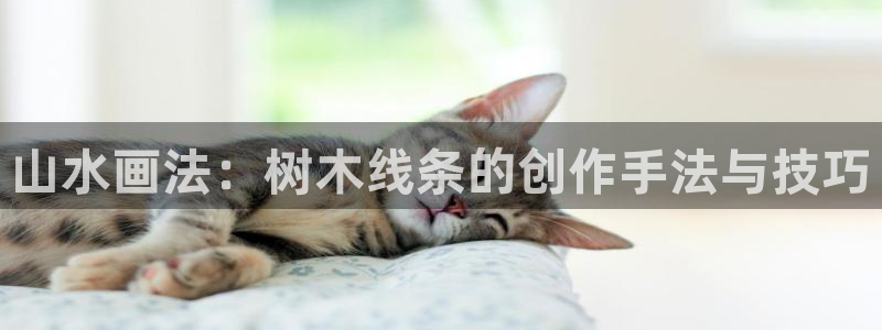 天顺娱乐招c商285580
