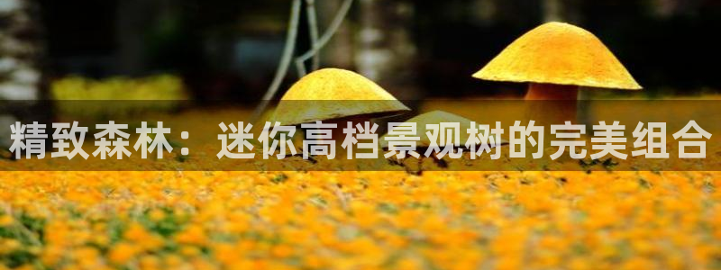 天顺娱乐肆99840诜