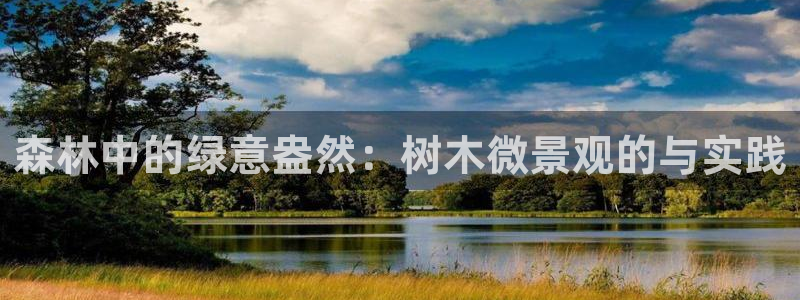 天顺娱乐蒋7O667：森林中的绿意盎然：树木微景观的与实践