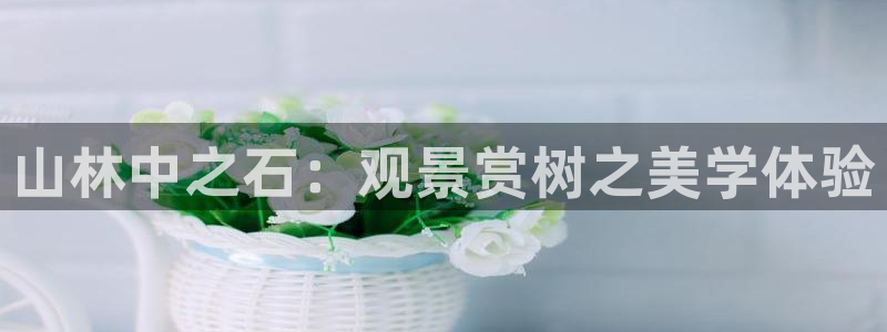 天顺娱乐20i判官333OO