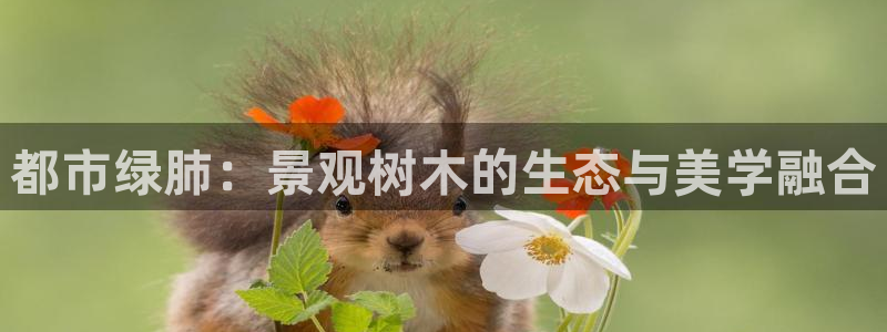 天顺娱乐周7O667