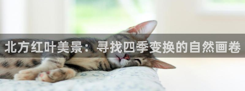 天顺娱乐岛78778卧