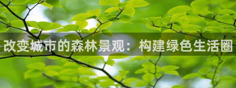 天顺娱乐乘优p官22650