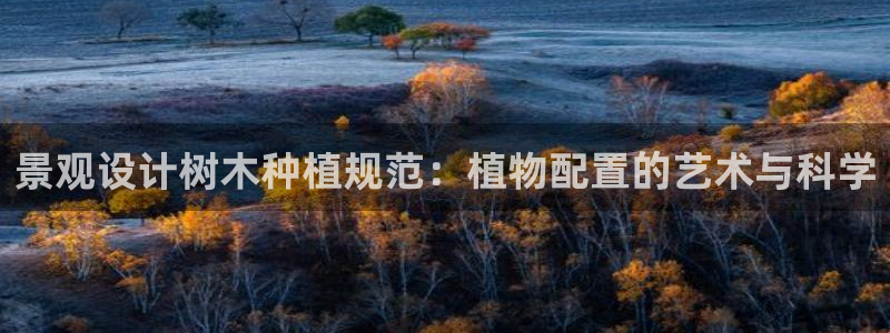 天顺娱乐招c商285580