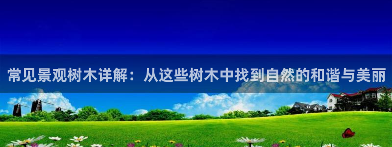 天顺娱乐吕74OOO5