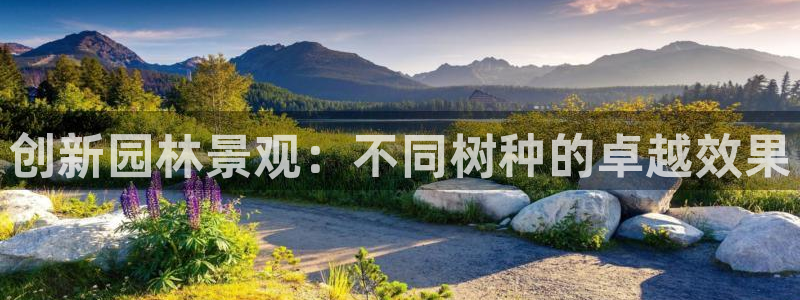 天顺娱乐税78778卧