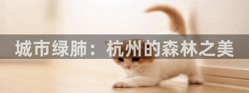 天顺娱乐舞厅在哪里