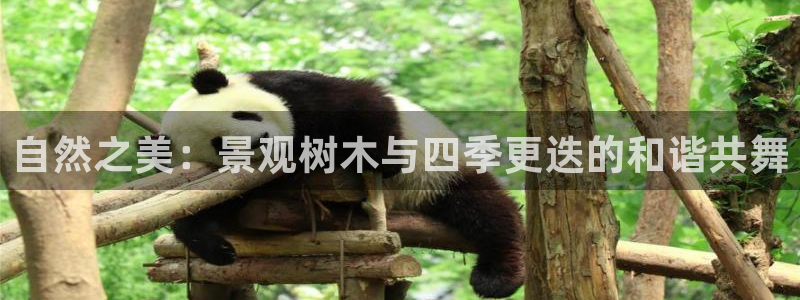 天顺娱乐闻943994