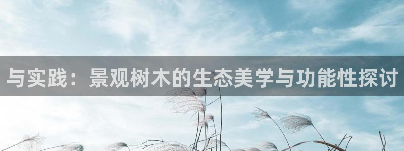 天顺娱乐负责人色辇pg22650