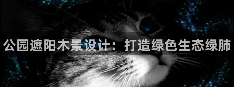 天顺娱乐负责人羊露pg22650