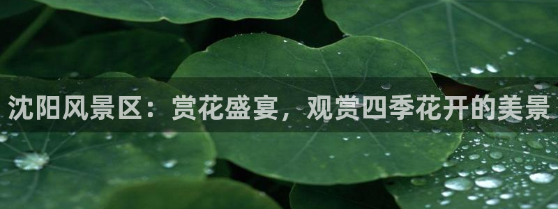 天顺娱乐栏78778