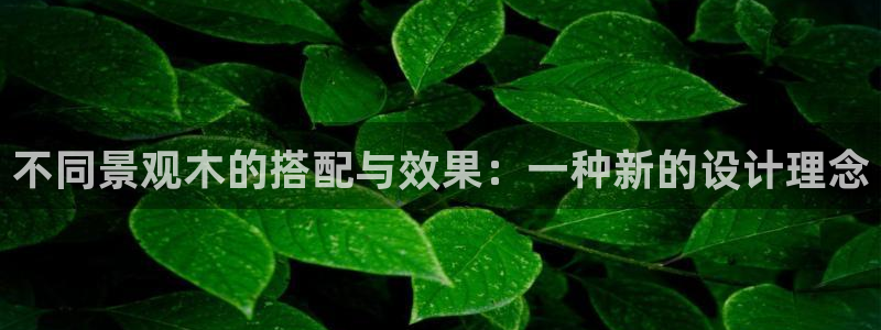 天顺娱乐 负t责任285580