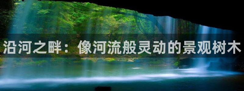 天顺娱乐 53339主e管
