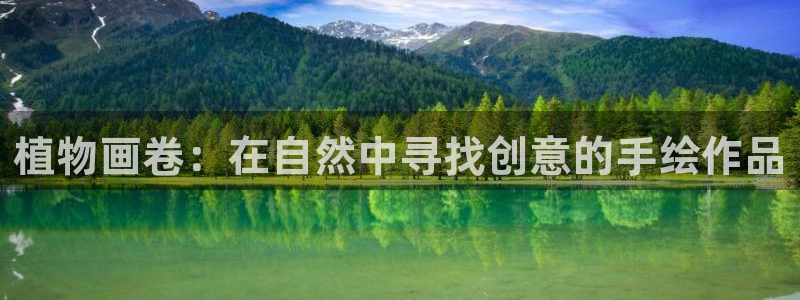 天顺娱乐仿47 344