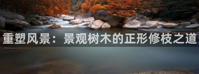 天顺娱乐毯 66 6