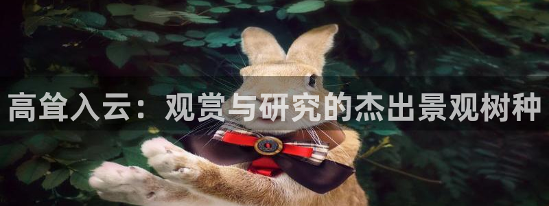 汝城天顺娱乐怎么样啊