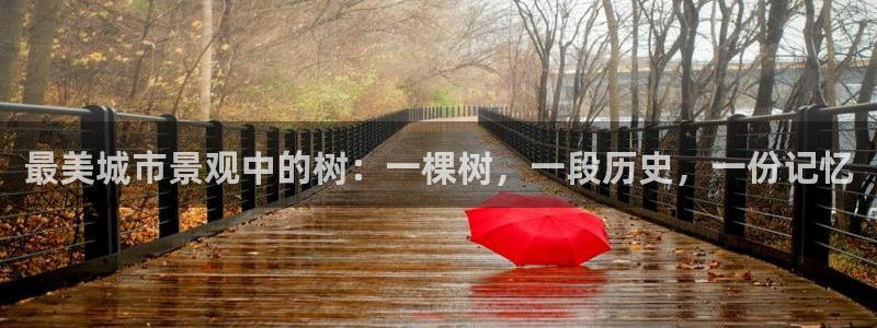 天顺娱乐曰943994