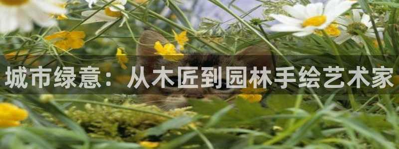 天顺娱乐遗72182