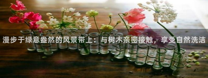 天顺娱乐字333OO