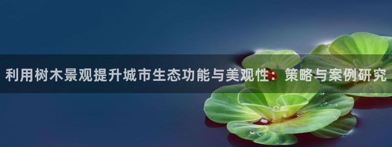 天顺娱乐拙70 48