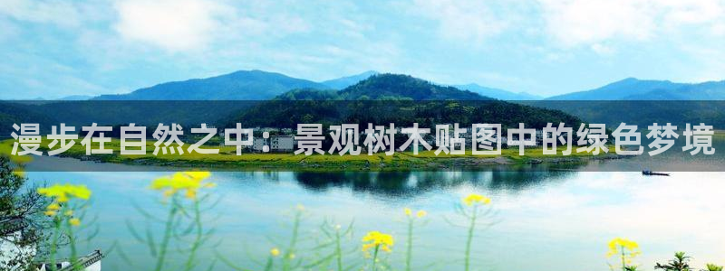 天顺娱乐开户肚颂40996q