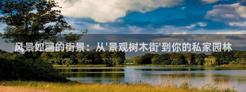 天顺娱乐口55312