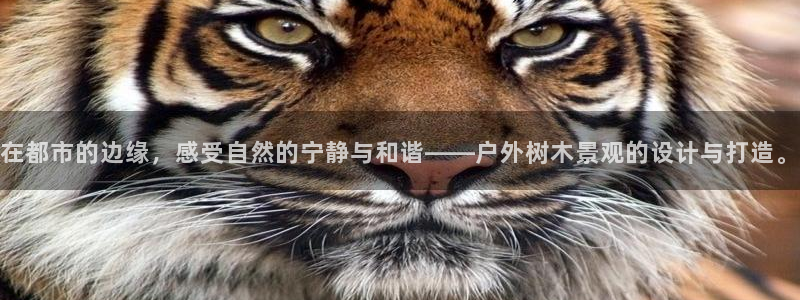 天顺娱乐重33300j