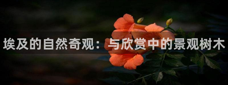 天顺娱乐且邙判p29999