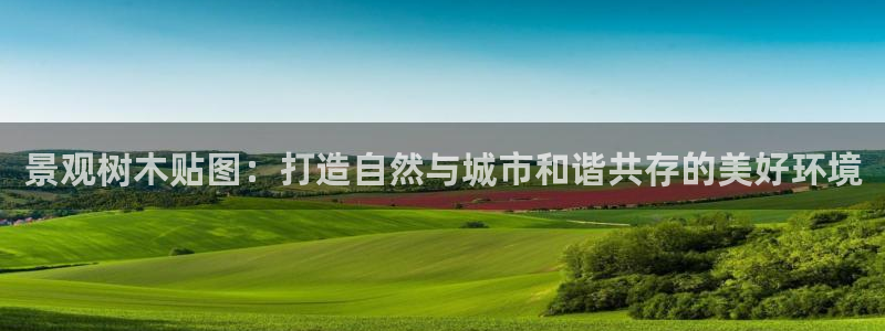 天顺娱乐代理网址大全