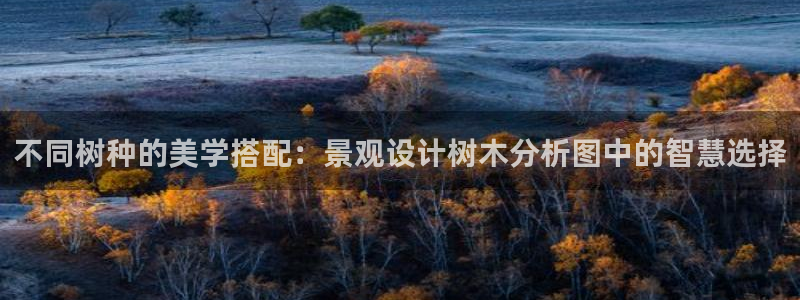 天顺娱乐谔