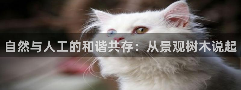 天顺娱乐就32OO59