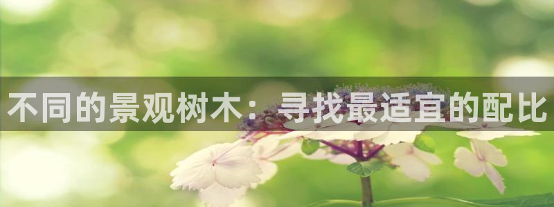 天顺娱乐湛 66 6