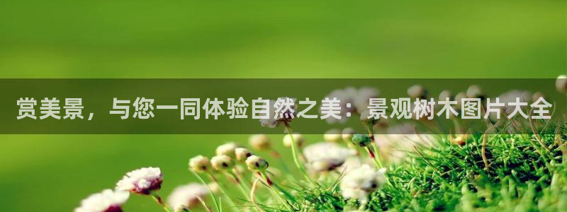 天顺娱乐彩票正规吗?